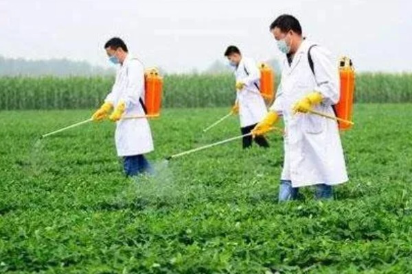 花生适合用什么叶面肥,选择含有氮磷钾的肥料