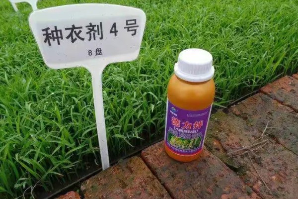 种衣剂的种类,主要按以下6种方式区分