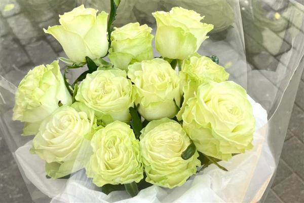 建军节适合送哪些花卉,可选择君子兰、牡丹花等品种