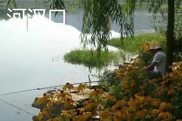如何垂钓黄尾鱼，水草区是首选钓点