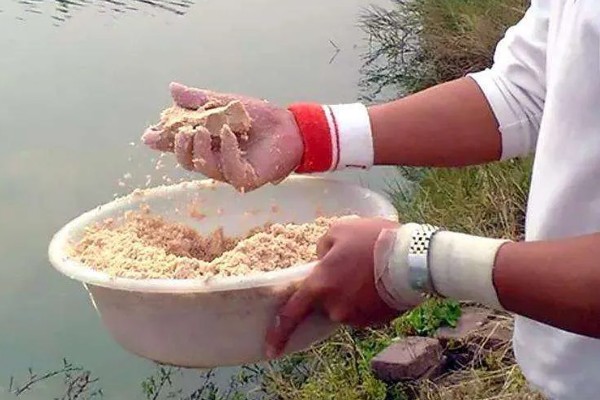如何垂钓黄尾鱼，水草区是首选钓点