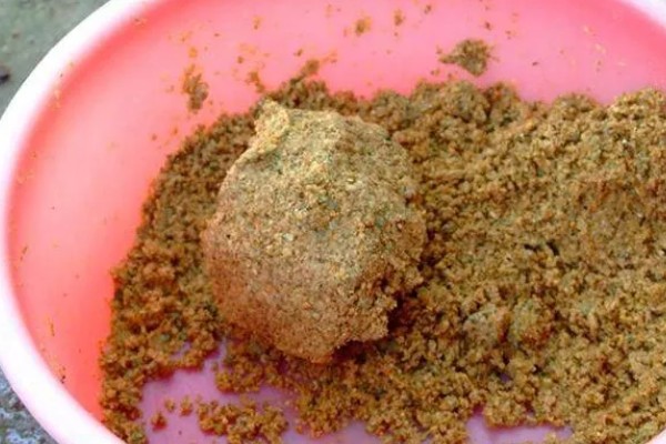 如何垂钓黄尾鱼，水草区是首选钓点